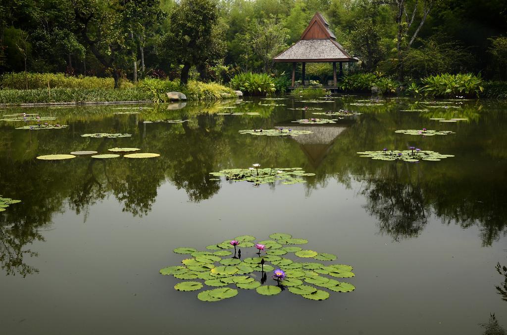 Pa Sak Tong Chiang Rai Exterior foto